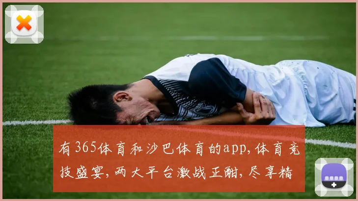 有365体育和沙巴体育的app,体育竞技盛宴,两大平台激战正酣,尽享精彩对决