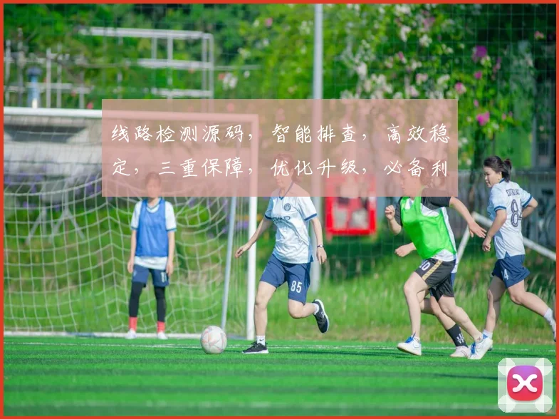 线路检测源码，智能排查，高效稳定，三重保障，优化升级，必备利器，助力运维。