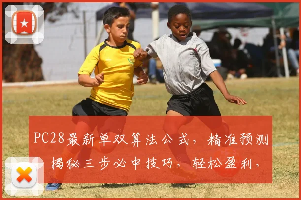 PC28最新单双算法公式，精准预测，揭秘三步必中技巧，轻松盈利，不容错过
